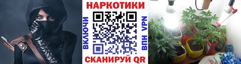 Цена Николаевск-на-Амуре Гашиш Alpha-PVP МЕФ Галлюциногенные грибы Cocaine Канабис