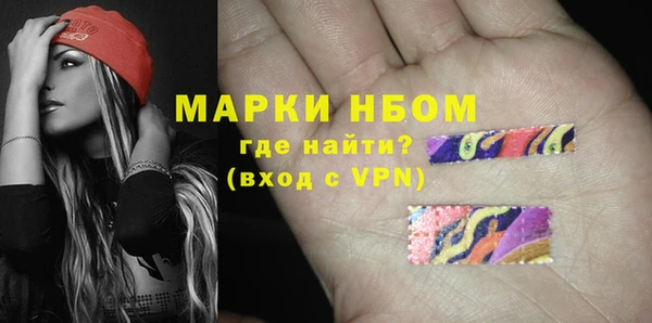 гашик Няндома