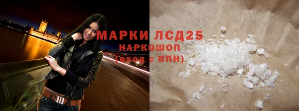 индика Болотное
