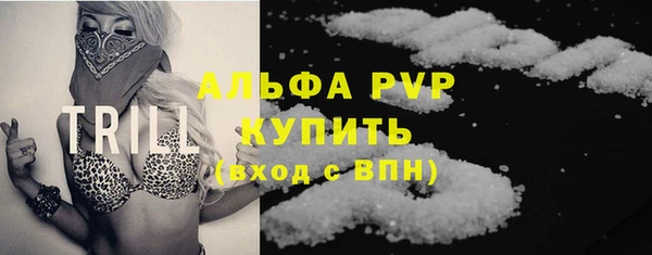 гашик Няндома