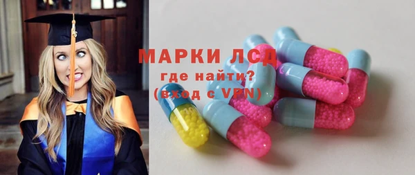 гашик Няндома