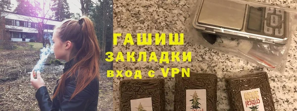 гашик Няндома