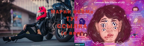тгк Новокубанск