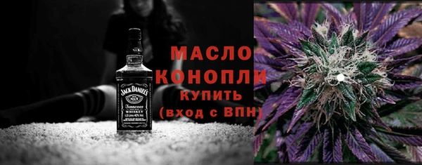 гашик Няндома